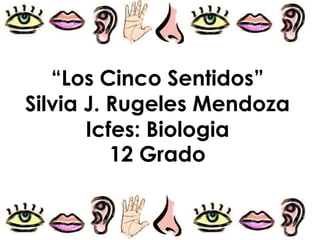 “Los Cinco Sentidos” Silvia J. Rugeles MendozaIcfes: Biologia12 Grado 