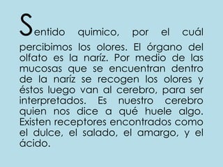  Sentido quimico, por el cuál percibimos los olores. El órgano del olfato es la naríz. Por medio de las mucosas que se encuentran dentro de la naríz se recogen los olores y éstos luego van al cerebro, para ser interpretados. Es nuestro cerebro quien nos dice a qué huele algo. Existen receptores encontrados como el dulce, el salado, el amargo, y el ácido.