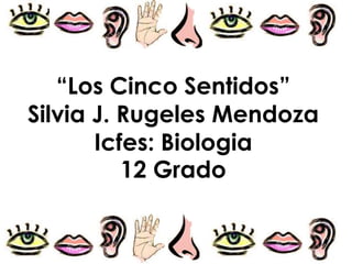 “Los Cinco Sentidos” Silvia J. Rugeles MendozaIcfes: Biologia12 Grado,[object Object]