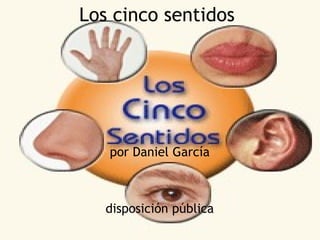 Los cinco sentidos por Daniel García       disposición pública 