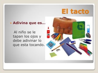 El tacto
 Adivina que es…
Al niño se le
tapan los ojos y
debe adivinar lo
que esta tocando.
 