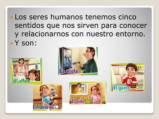  Los seres humanos tenemos cinco
sentidos que nos sirven para conocer
y relacionarnos con nuestro entorno.
 Y son:
 