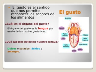 El gusto
 El gusto es el sentido
que nos permite
reconocer los sabores de
los alimentos
¿Cuál es el órgano del gusto?
El órgano del gusto es la lengua por
medio de las papilas gustativas.
¿Qué sabores detectan nuestra lengua?
Dulces o salados, ácidos o
amargos.
 