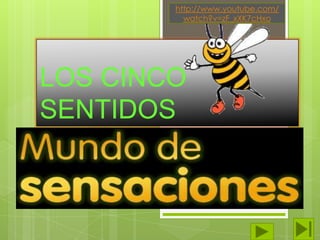 http://www.youtube.com/
watch?v=zF_xXK7cHxo

LOS CINCO
SENTIDOS

 