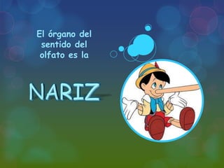 El órgano del
sentido del
olfato es la

 