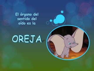 El órgano del
sentido del
oído es la

 