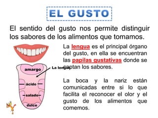 El sentido del gusto nos permite distinguir
los sabores de los alimentos que tomamos.
La lengua es el principal órgano
del gusto, en ella se encuentran
las papilas gustativas donde se
captan los sabores.
La boca y la nariz están
comunicadas entre si lo que
facilita el reconocer el olor y el
gusto de los alimentos que
comemos.
amargo
ácido
salado
dulce
La lengua
 