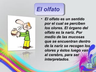 El olfato
 • El olfato es un sentido
   por el cual se perciben
   los olores. El órgano del
   olfato es la nariz. Por
   medio de las mucosas
   que se encuentran dentro
   de la nariz se recogen los
   olores y éstos luego van
   al cerebro, para ser
   interpretados.
   interpretados
 