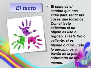 • El tacto es el
El tacto     sentido que nos
             sirve para sentir las
             cosas que tocamos.
             Con el tacto
             sabemos si un
             objeto es liso o
             rugoso, si está frio o
             caliente, si es
             blando o duro. Esto
             lo percibimos a
             través de la piel y
             sobretodo de las
             manos.
 