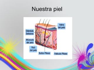 Nuestra piel
 