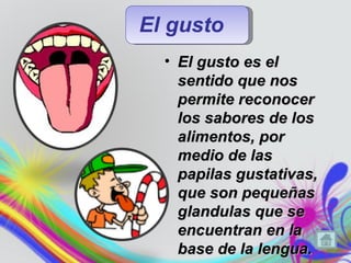 El gusto
  • El gusto es el
    sentido que nos
    permite reconocer
    los sabores de los
    alimentos, por
    medio de las
    papilas gustativas,
    que son pequeñas
    glandulas que se
    encuentran en la
    base de la lengua.
 