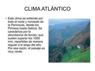 CLIMA ATLÁNTICO
● Este clima se extiende por
todo el norte y noroeste de
la Península, desde los
Pirineos hasta Galicia. Se
caracteriza por la
abundancia de lluvias, que
suelen superar los 1000
mm, repartidas de manera
regular a lo largo del año.
Por esa razón, el paisaje es
muy verde.
 