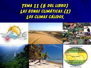 Tema 11 (5 del libro)Tema 11 (5 del libro)
Las zonas climáticas.(I)Las zonas climáticas.(I)
Los climas cálidosLos climas cálidos..
 