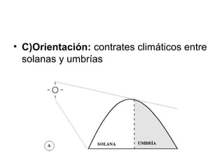 • C)Orientación: contrates climáticos entre
solanas y umbrías

 
