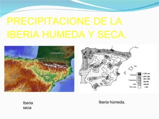 PRECIPITACIONE DE LA IBERIA HUMEDA Y SECA. Iberia seca Iberia húmeda. 