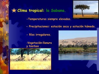 Clima tropical:  la Sabana.  -Temperaturas siempre elevadas. - Precipitaciones: estación seca y estación húmeda. - Ríos irregulares. Vegetación:llanura  y hierbas . 