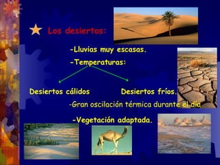 Los desiertos: -Lluvias muy escasas. -Temperaturas: Desiertos cálidos Desiertos fríos. -Vegetación adaptada. -Gran oscilación térmica durante el día 
