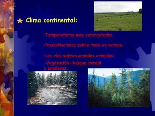 Clima continental: -Temperaturas muy contrastadas. -Precipitaciones sobre todo en verano. -Los ríos sufren grandes crecidas. -Vegetación: bosque boreal y praderas. 