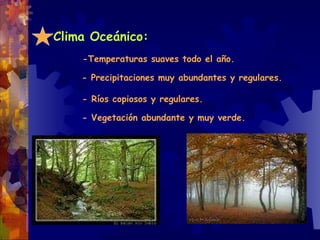 Clima Oceánico:  -Temperaturas suaves todo el año. - Precipitaciones muy abundantes y regulares. - Ríos copiosos y regulares. - Vegetación abundante y muy verde. 
