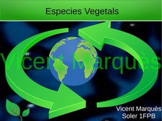 Especies Vegetals
Vicent Marquès
Soler 1FPB
Vicent Marquès
 