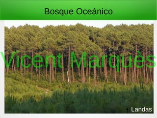 Bosque Oceánico
● Landas
Vicent Marquès
 