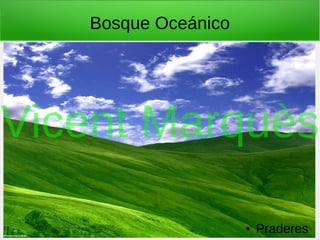 Bosque Oceánico
● Praderes
Vicent Marquès
 