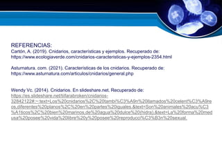 REFERENCIAS:
Cartón, A. (2019). Cnidarios, características y ejemplos. Recuperado de:
https://www.ecologiaverde.com/cnidarios-caracteristicas-y-ejemplos-2354.html
https://www.ecologiaverde.com/cnidarios-caracteristicas-y-ejemplos-2354.html
Asturnatura. com. (2021). Características de los cnidarios. Recuperado de:
https://www.asturnatura.com/articulos/cnidarios/general.phphttps://www.asturnatura.com/articulos/
cnidarios/general.php
Wendy Vc. (2014). Cnidarios. En slideshare.net. Recuperado de:
https://es.slideshare.net/tiifarabroken/cnidarios-
32842122#:~:text=Los%20cnidarios%2C%20tambi%C3%A9n%20llamados%20celent%C3%A9re
os,diferentes%20planos%2C%20en%20partes%20iguales.&text=Son%20animales%20acu%C3
%A1ticos%2C%20bien%20marinos,de%20agua%20dulce%20(hidra).&text=La%20forma%20med
usa%20posee%20vida%20libre%20y%20posee%20reproducci%C3%B3n%20sexual.
 