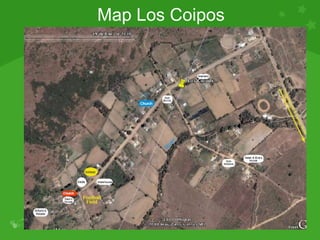 Map Los Coipos 