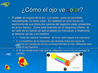 ¿Cómo el ojo ve color?
   El color se origina de la luz. Luz solar, como es percibida
    naturalmente, no tiene color. En realidad un arco iris es un
    testimonio de que todos los colores del espectro están presentes
    en la luz blanca. Como está ilustrado en el diagrama inferior, la
    luz sale de su fuente (el sol) al objeto (la manzana), y finalmente
    al detector (el ojo y el cerebro).
        1. Todos los colores “invisibles” de la luz solar llegan a la manzana.
        2. La superficie de la manzana roja absorbe todos los rayos de
         colores con excepción de los correspondientes al rojo, reflejando este
         color al ojo humano.
        3. El ojo recibe la luz roja que es reflejada y se envía un mensaje al
         cerebro.
 