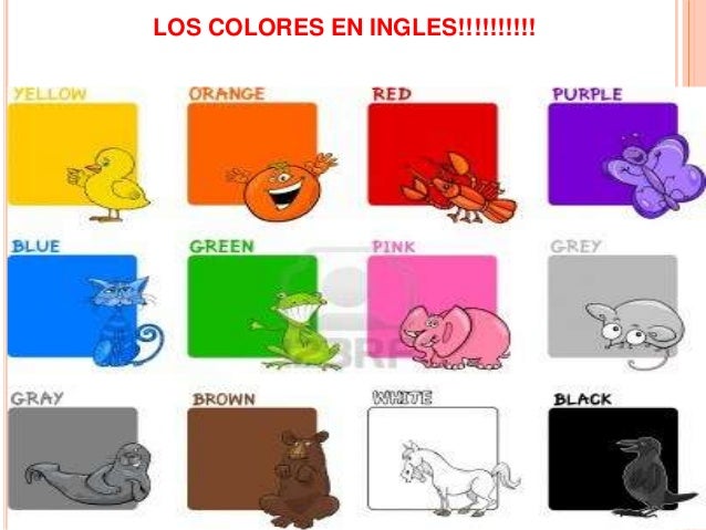 Los colores por Eugenia Espinosa