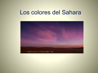 Los colores del Sahara
 