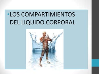 •LOS COMPARTIMIENTOS
DEL LIQUIDO CORPORAL