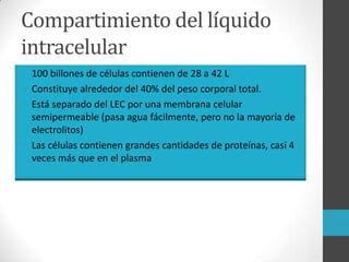 Compartimiento del líquido
intracelular
• 100 billones de células contienen de 28 a 42 L
• Constituye alrededor del 40% del peso corporal total.
• Está separado del LEC por una membrana celular
semipermeable (pasa agua fácilmente, pero no la mayoría de
electrolitos)
• Las células contienen grandes cantidades de proteínas, casi 4
veces más que en el plasma