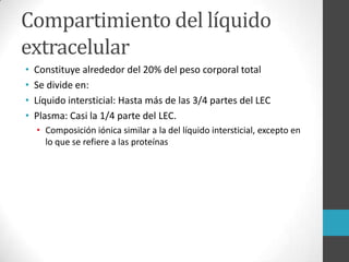Compartimiento del líquido
extracelular
• Constituye alrededor del 20% del peso corporal total
• Se divide en:
• Líquido intersticial: Hasta más de las 3/4 partes del LEC
• Plasma: Casi la 1/4 parte del LEC.
• Composición iónica similar a la del líquido intersticial, excepto en
lo que se refiere a las proteínas