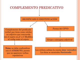 Los complementos del verbo | PDF