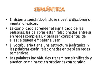 • El sistema semántico incluye nuestro diccionario
mental o lexicón.
• Es complicado aprender el significado de las
palabras; las palabras están relacionadas entre sí
en redes complejas, y para ser conscientes de
ellas se deben empezar a usar.
• El vocabulario tiene una estructura jerárquica y
las palabras están relacionadas entre sí en redes
semánticas.
• Las palabras individuales transmiten significado y
pueden combinarse en oraciones con sentido.
 