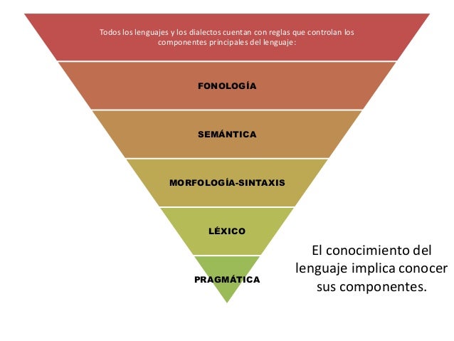 Los componentes del lenguaje
