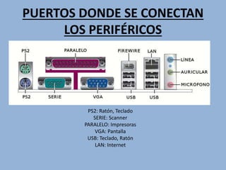 PUERTOS DONDE SE CONECTAN
LOS PERIFÉRICOS
PS2: Ratón, Teclado
SERIE: Scanner
PARALELO: Impresoras
VGA: Pantalla
USB: Teclado, Ratón
LAN: Internet
 