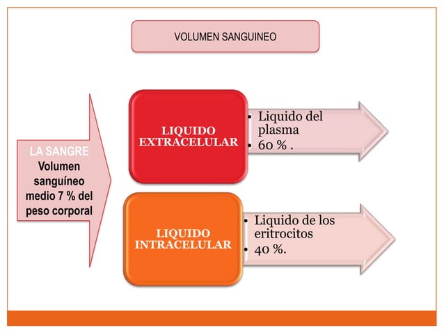 Los comportamientos del liquido corporal líquidos extracelular e