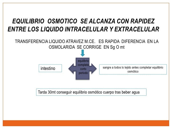 Resultado de imagen para El equilibrio osmótico se alcanza con rapidez entre los lÃquidos intracelular y extracelular.