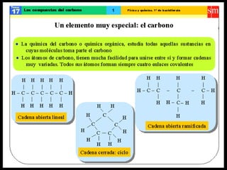 Los compuestos del carbono