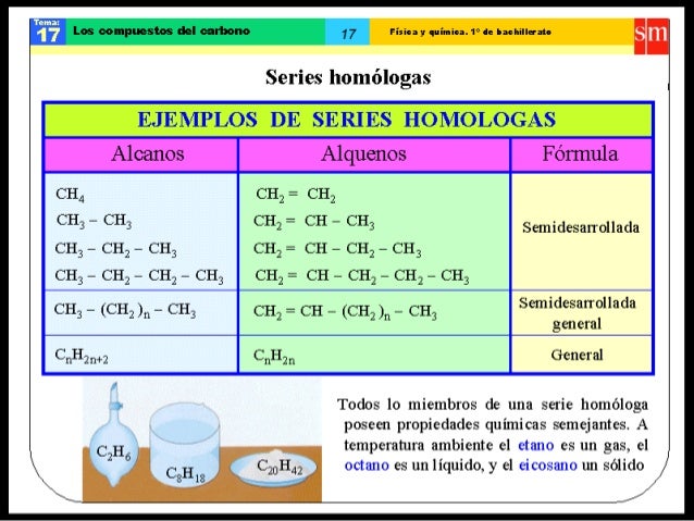 Resultado de imagen para series homologas