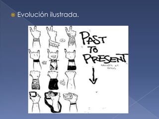 

Evolución ilustrada.

 