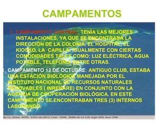 CAMPAMENTOS
1. CAMPAMENTO CENTRAL: TENÍA LAS MEJORES
INSTALACIONES, YA QUE SE ENCONTRABA LA
DIRECCIÓN DE LA COLONIA, EL HOSPITAL, EL
KIOSKO, LA CAPILLA. IGUALMENTE CON CIERTAS
COMODIDADES TALES COMO: LUZ ELÉCTRICA, AGUA
POTABLE, TELÉFONO, ENTRE OTRAS.
1. CAMPAMENTO 12 DE OCTUBRE: ANTIGUO CLUB, ESTABA
UNA ESTACIÓN BIOLÓGICA MANEJADA POR EL
INSTITUTO NACIONAL DE RECURSOS NATURALES
RENOVABLES ( INRENARE) EN CONJUNTO CON LA
AGENCIA DE COOPERACIÓN BIOLÓGICA. EN ESTE
CAMPAMENTO SE ENCONTRABAN TRES (3) INTERNOS
LABORANDO.
 