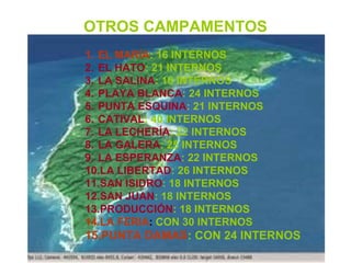 OTROS CAMPAMENTOS
1. EL MARÍA: 16 INTERNOS
2. EL HATO: 21 INTERNOS
3. LA SALINA: 16 INTERNOS
4. PLAYA BLANCA: 24 INTERNOS
5. PUNTA ESQUINA: 21 INTERNOS
6. CATIVAL: 40 INTERNOS
7. LA LECHERÍA: 22 INTERNOS
8. LA GALERA: 25 INTERNOS
9. LA ESPERANZA: 22 INTERNOS
10.LA LIBERTAD: 26 INTERNOS
11.SAN ISIDRO: 18 INTERNOS
12.SAN JUAN: 18 INTERNOS
13.PRODUCCIÓN: 18 INTERNOS
14.LA FERIA: CON 30 INTERNOS
15.PUNTA DAMAS: CON 24 INTERNOS
 