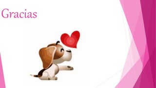 Gracias
 