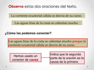 Observa  estas dos oraciones del texto.  Las aguas frías de la costa se calientan mucho.  La corriente ecuatorial cálida se desvía de su curso.  Las aguas frías de la costa se calientan mucho  porque   la corriente ecuatorial cálida se desvía de su curso.  Hemos usado un conector de  causa . Indica que la segunda parte de la oración es la causa de la primera. ¿Cómo las podemos conectar? 