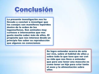 La presente investigación nos ha
llevado a concluir e investigar que
los conejos son mamíferos lepóridos
dentro de la orden de los
lagomorfonos. Son animales muy
curiosos e interesantes que nos
gusto mucho saber más de ellos. El
propósito que nos intereso desde un
principio fue saber su reproducción
que algunos no conocíamos
Se logro entender acerca de este
ser vivo, sobre el hábitat de ellos y
sobre todo lo que tuvo que ver con
su vida que nos llevo a entender
que para uno tener una mascota es
como tener un hijo para criar tanto
el aseo y la alimentación sobre
ellos
Conclusión
 