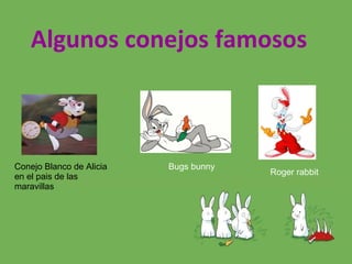 Algunos conejos famosos
Conejo Blanco de Alicia
en el pais de las
maravillas
Roger rabbit
Bugs bunny
 