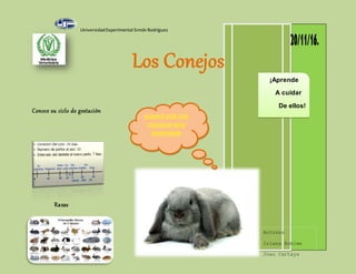 UniversidadExperimental SimónRodríguez
1
Los Conejos
Conoce su ciclo de gestación
Razas
Autores
Iriana Robles
Joao Cartaya
¡Aprende
A cuidar
De ellos!
 